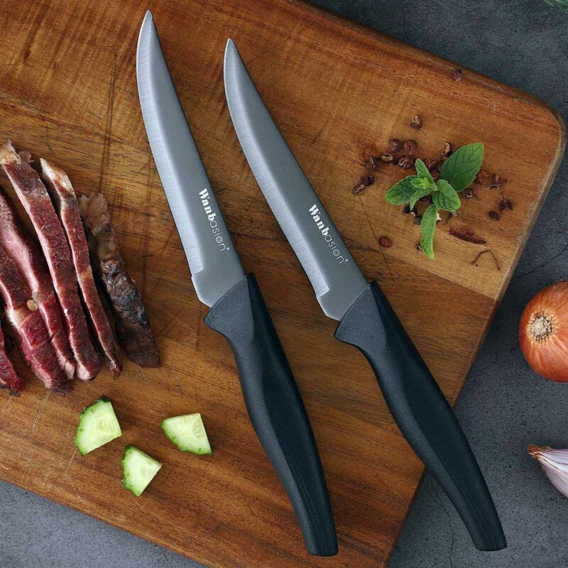 Wanbasion Black Non Serrated Steak Knife